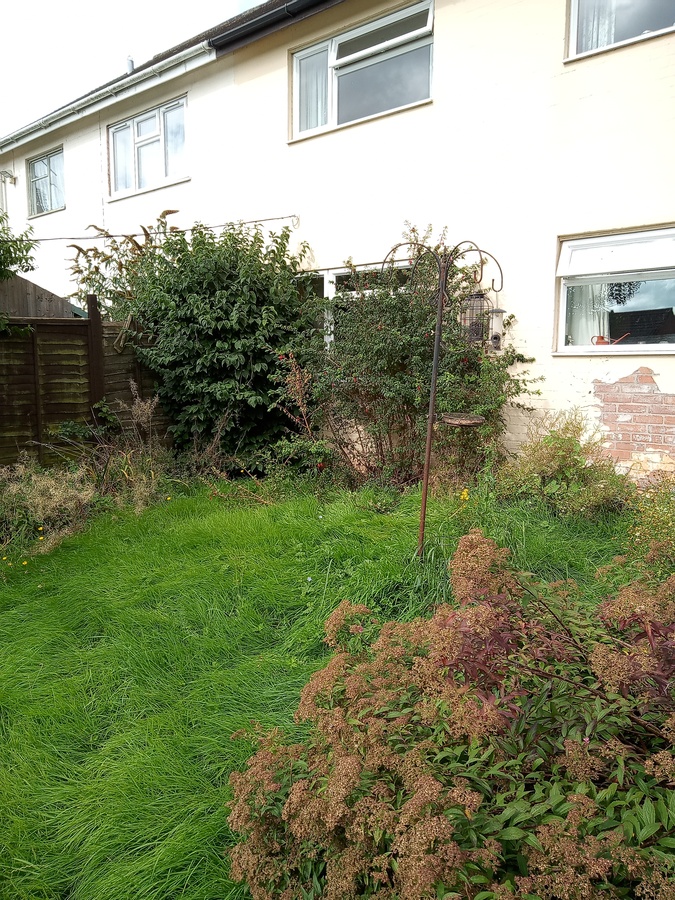 Before