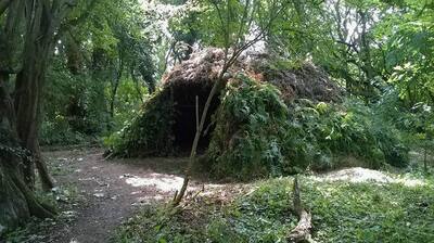 Making shelters & wild camping